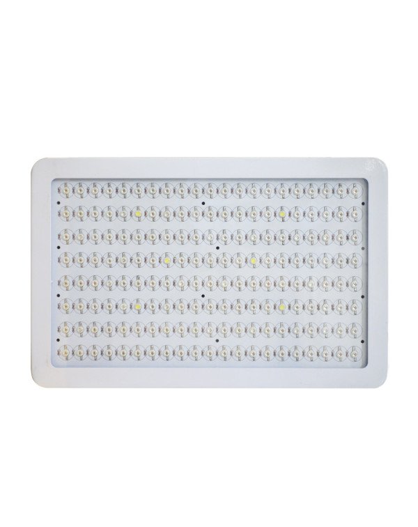 LED Grow light Classic-300W