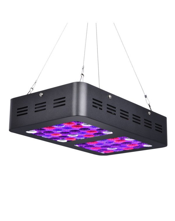 LED Grow light CLASSIC II-120W