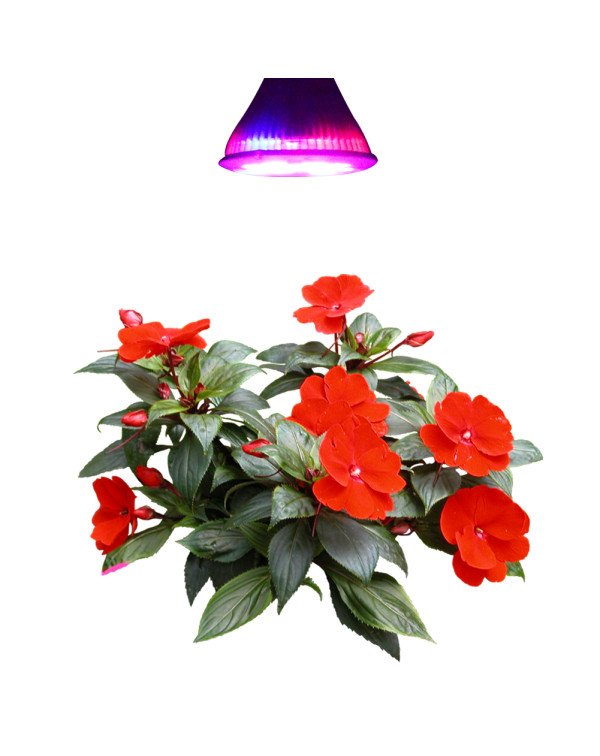 LED Grow light-Flora-16W