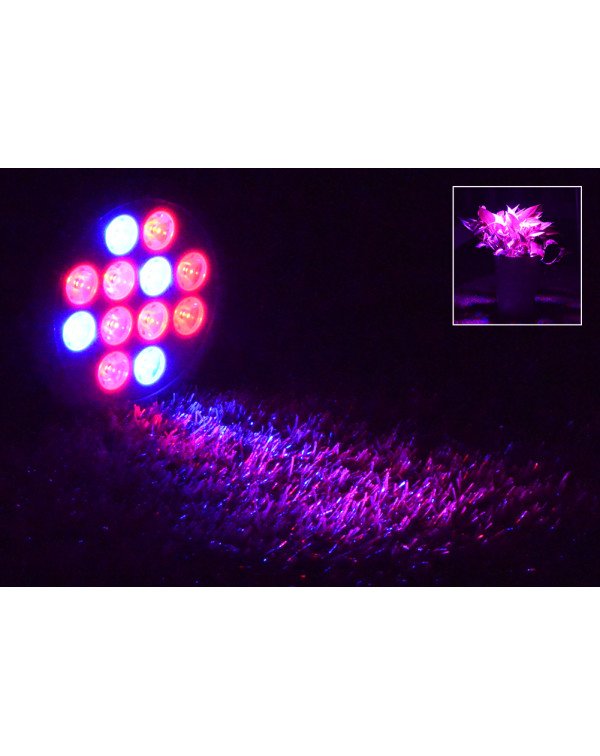 Grow light-Flora-16W-A2