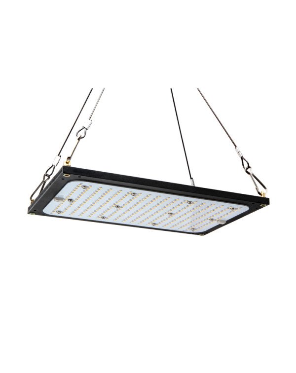 GROW LIGHT-Quantum plate -120W