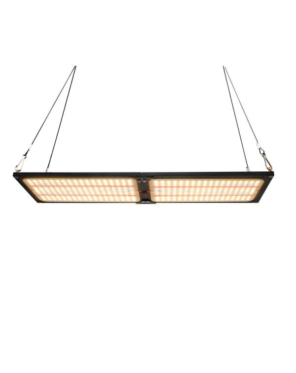 Grow Light-Quantum plate-240W