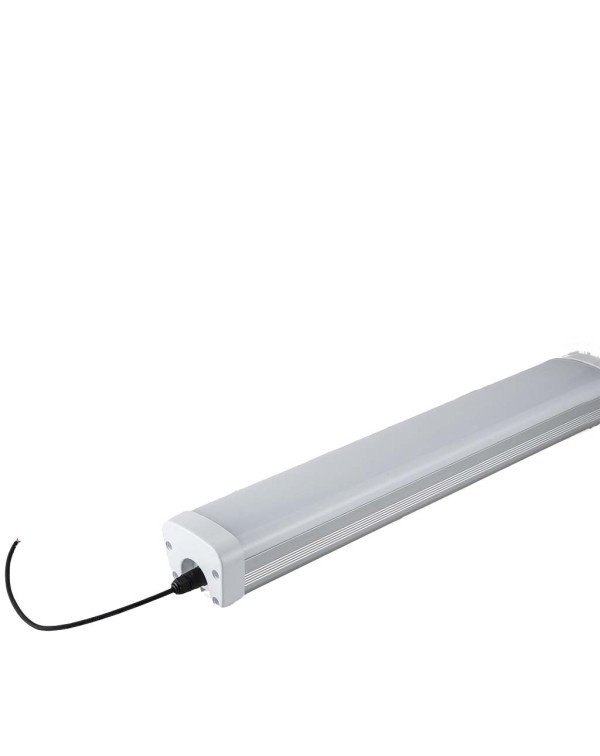 Animal Light-Rainbow II-100W