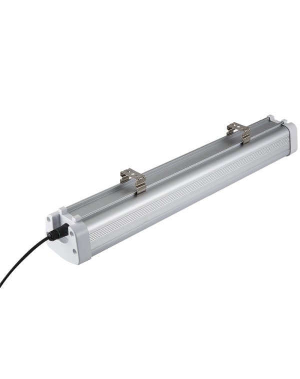 Animal Light-Rainbow II-100W