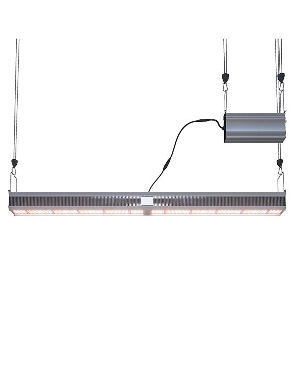 Grow light-Rainbow II-640W