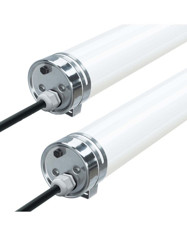 Animal Light-Rainbow II-60W