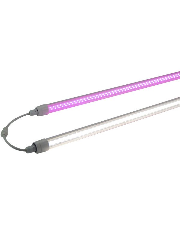 Grow light-Rainbow-20W