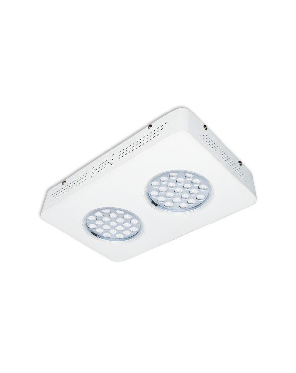 Grow Light-Sunny -60W
