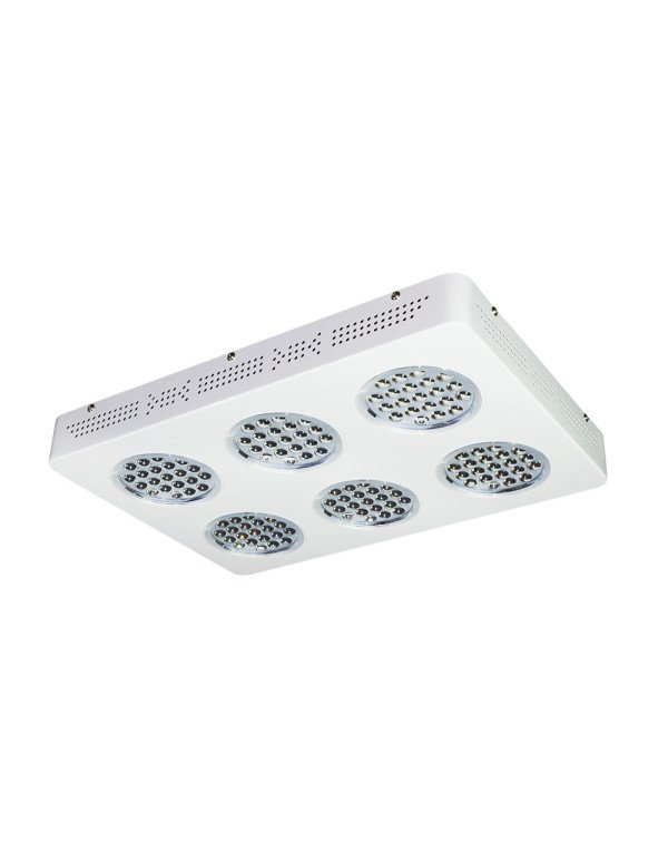LED Grow light Sunny-360W