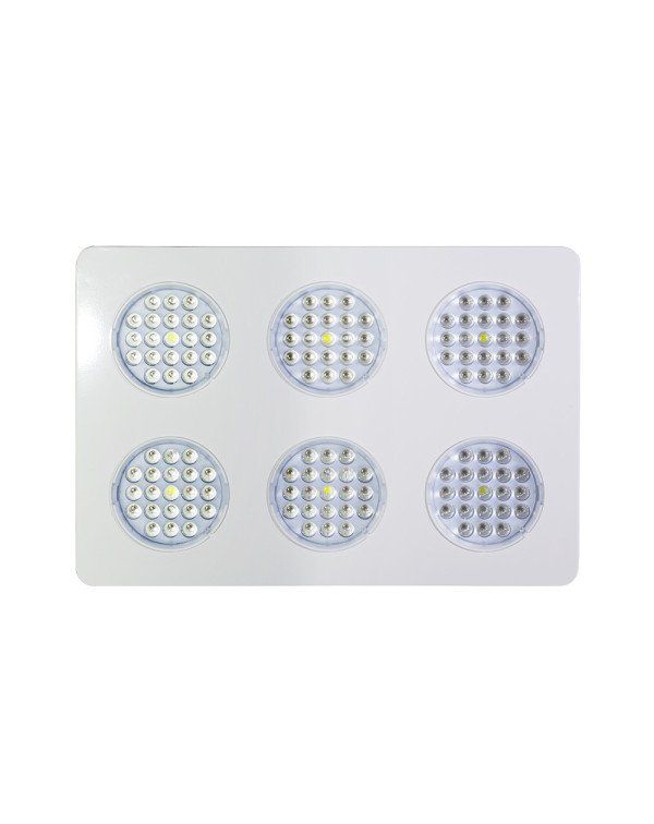 LED Grow light Sunny-360W