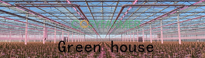 Greenhouse Greenhouse